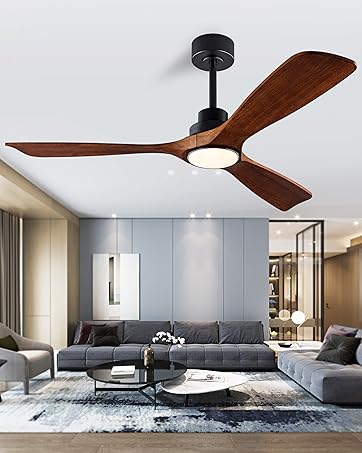 ceilingfan